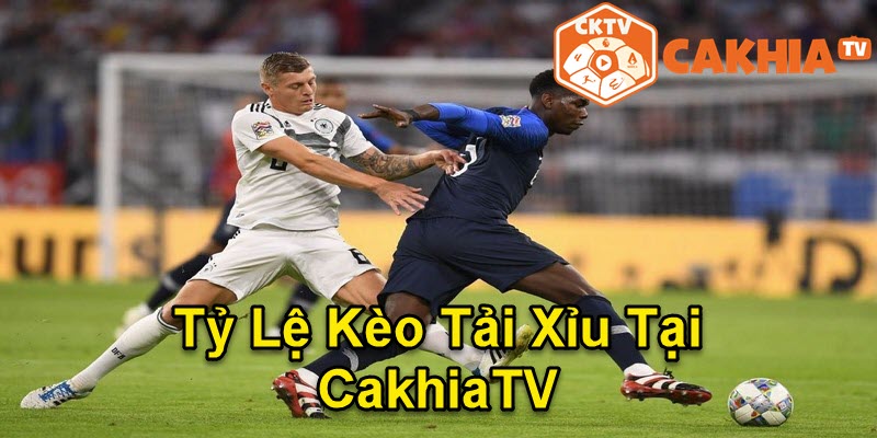 Tài xỉu là loại kèo không thể thiếu tại CakhiaTV